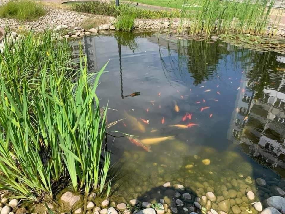 Penzion Set Košice Exteriör bild
